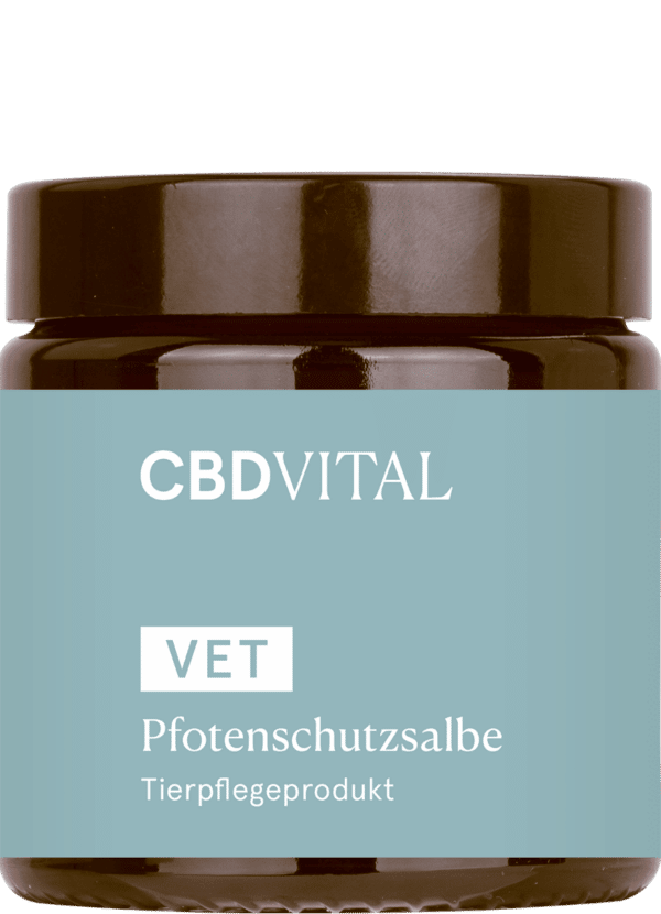 Cbd Vital Pfotenschutzsalbe