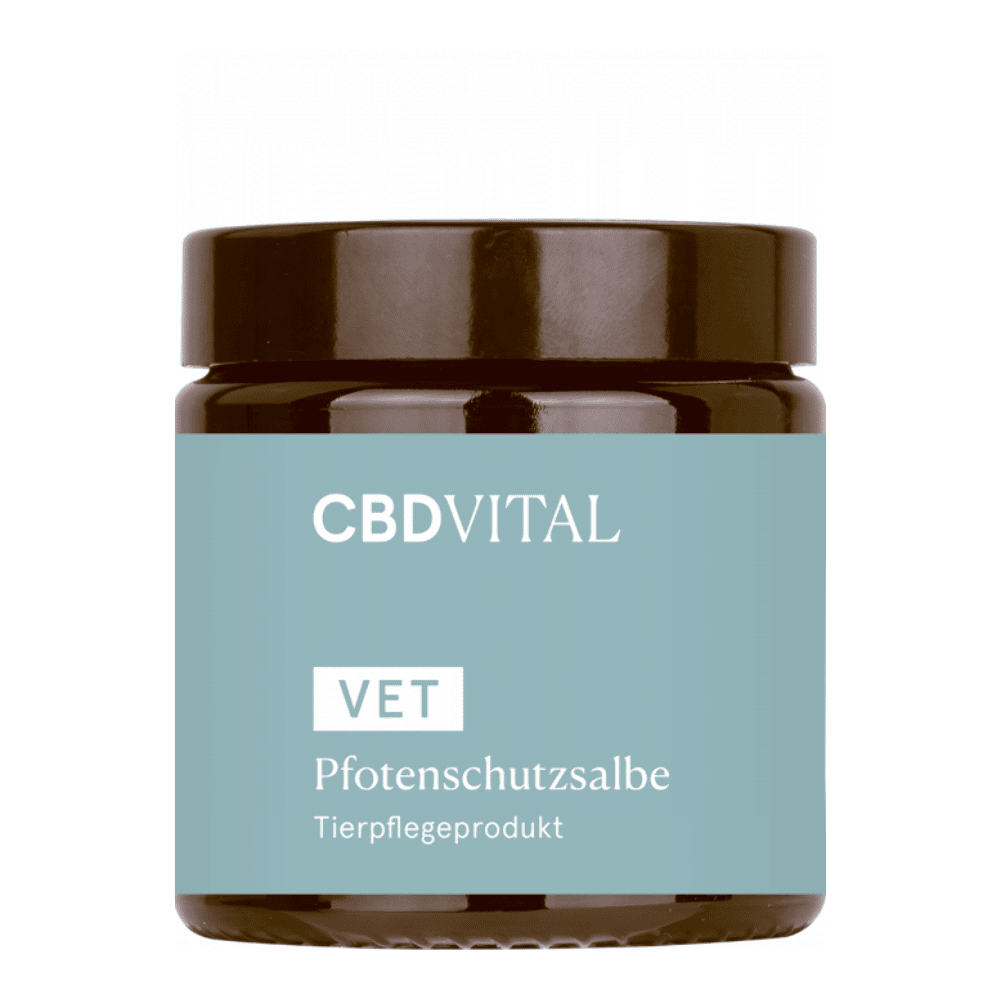 Cbd Vital Pfotenschutzsalbe
