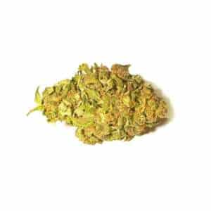 Blue Dream Blüte