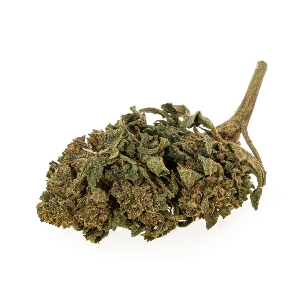 Cbd bud buddhas skunk