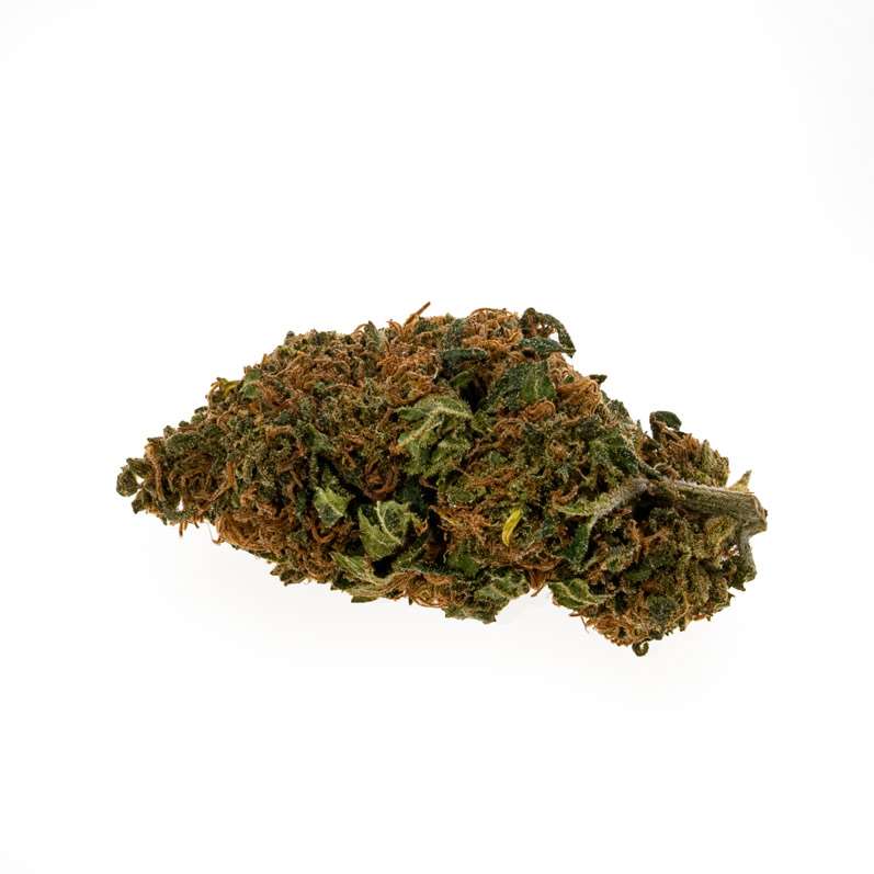 Cbd bud premium Trainwreck