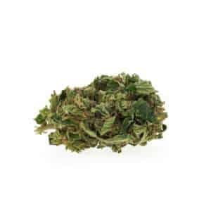 Cbd cheese