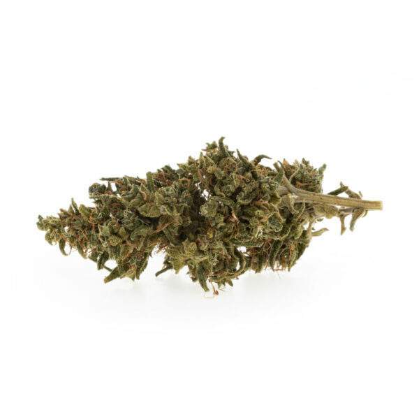 cbd critical widow gras