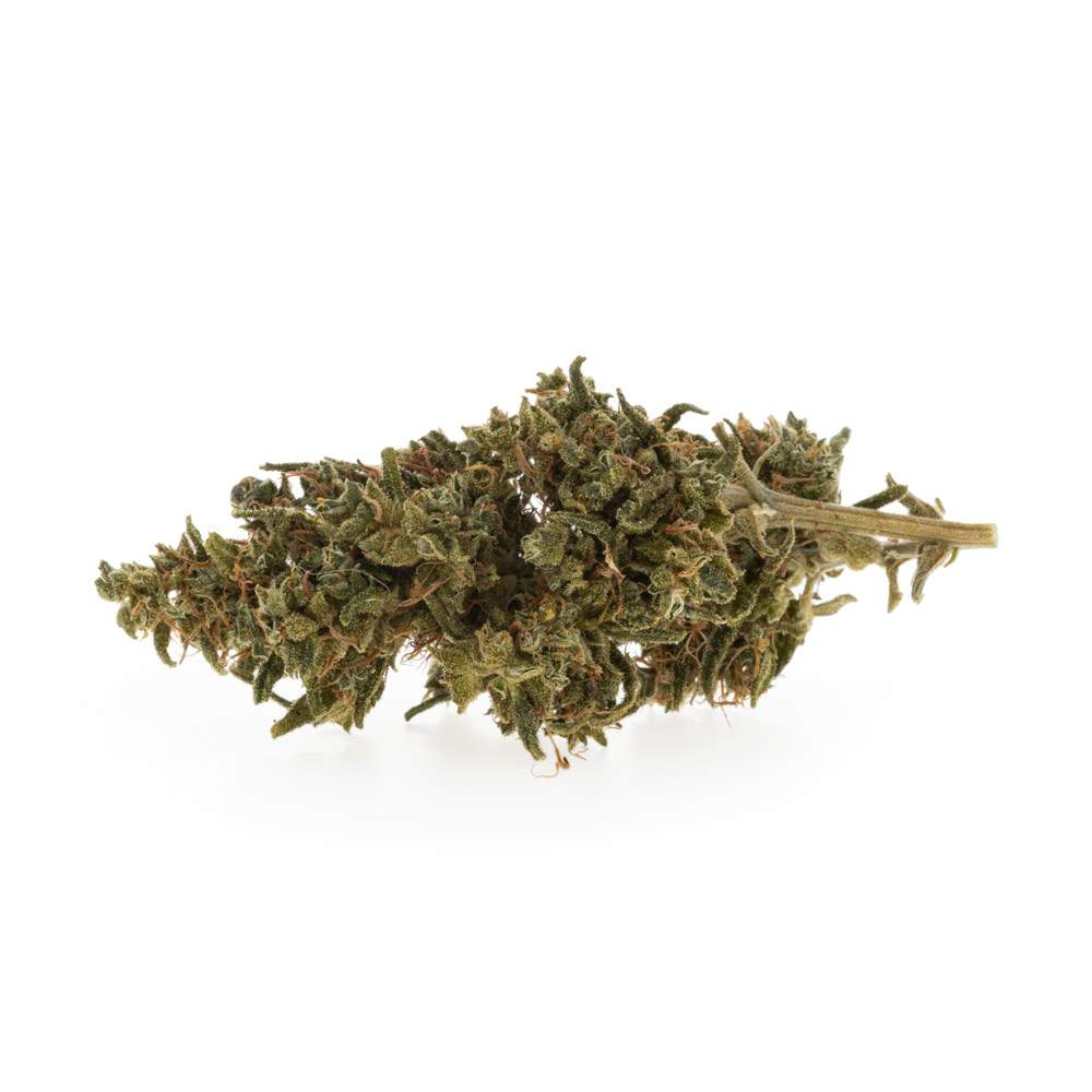 cbd critical widow gras