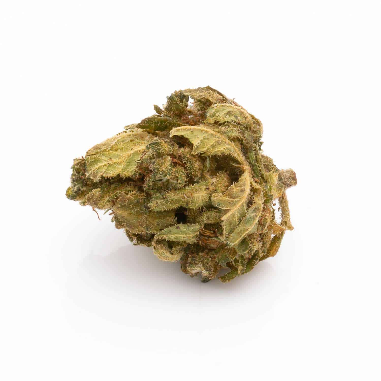 Premium Jack herer Bud