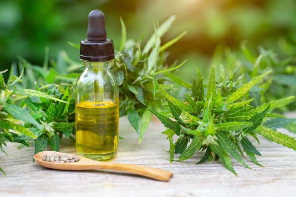 Cbd Öl