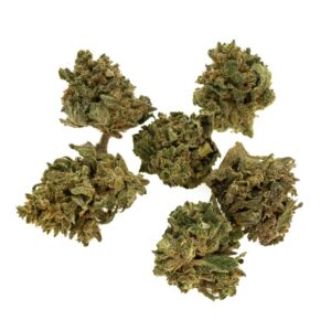 White Widow Baby Buds - 100g