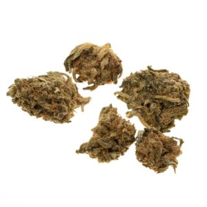Harlequin Baby Buds - 6g